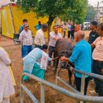 जहानाबाद में पशु बांझपन निवारण शिविर का शुभारंभ, पशुपालकों को मिल रही मुफ्त चिकित्सा सुविधा