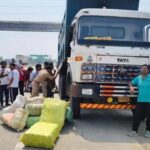 गयाजी में बड़ी कार्रवाई: हाईवा से 2 क्विंटल गांजा बरामद