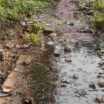 खिजरसराय नगर पंचायत में गंदगी और जलजमाव से लोग त्रस्त, संक्रामक बीमारियों का बढ़ा खतरा