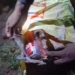 शेरघाटी में उत्पाद विभाग की बड़ी कार्रवाई, दो मोटरसाइकिलों से 164.5 लीटर विदेशी शराब बरामद