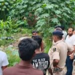 अफजलपुर में मगरमच्छ की सूचना से मचा हड़कंप, जांच में AI से बनाई तस्वीर का खुलासा