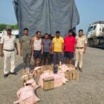 डोभी के खैरा में अवैध शराब के खिलाफ कार्रवाई, 276.750 लीटर बीयर-विदेशी शराब जब्त